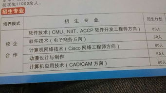 大学软件测试方向专业选择指南 计算机网络、计算机应用与软件技术深度解析