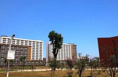 网络工程专升本 探索计算机软件与网络应用技术的融合开发